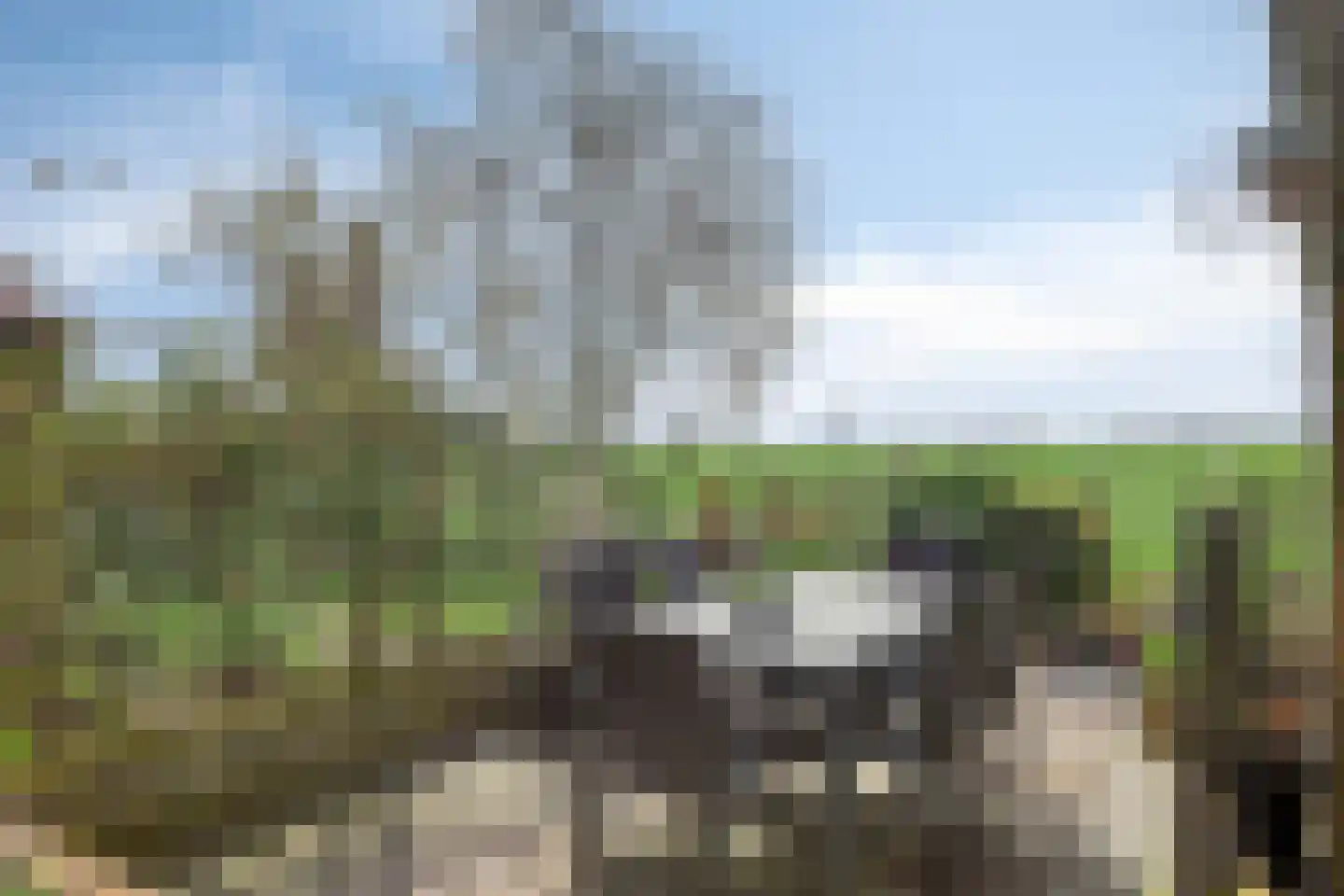 Hernepaed 5 Oosthem thumbnail 45
