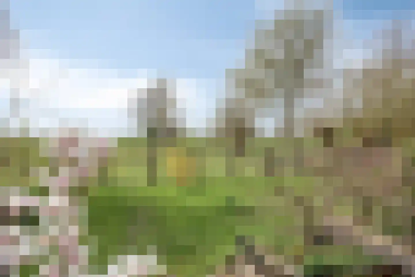 Hernepaed 5 Oosthem thumbnail 46