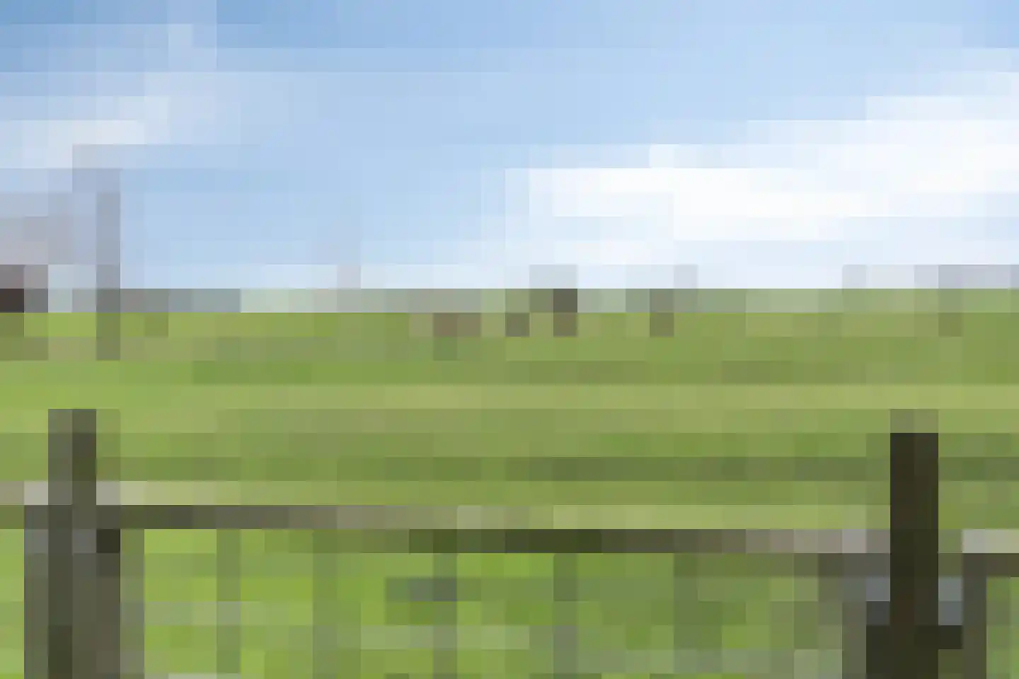 Hernepaed 5 Oosthem thumbnail 47