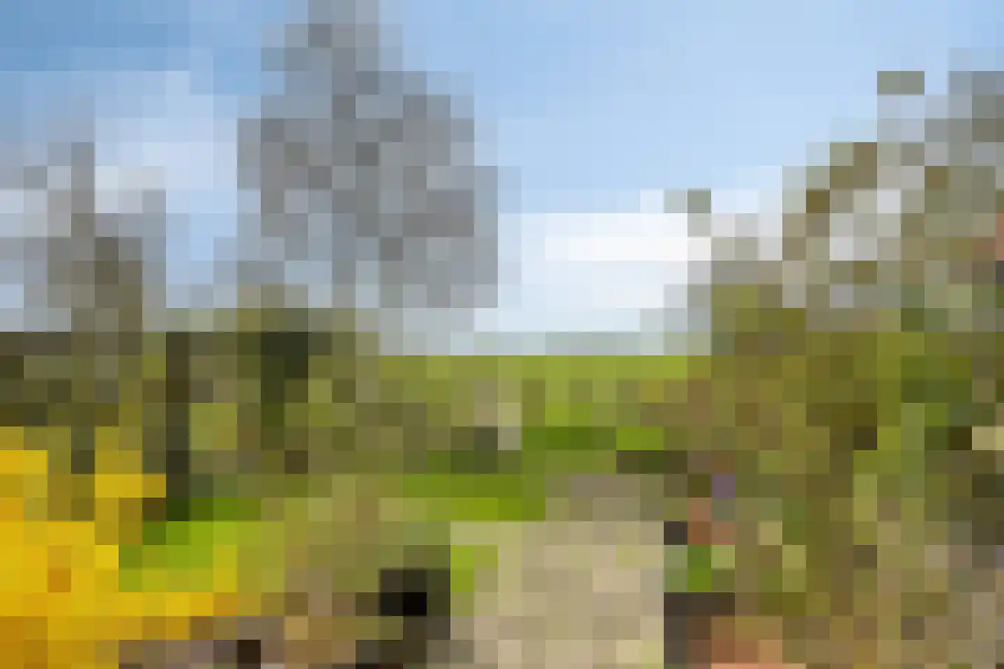 Hernepaed 5 Oosthem thumbnail 48