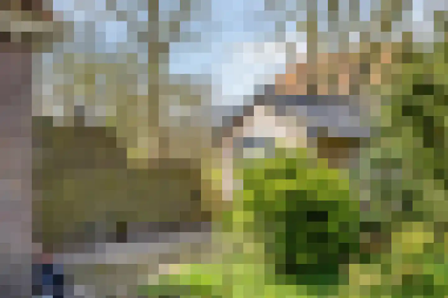 Hernepaed 5 Oosthem thumbnail 49