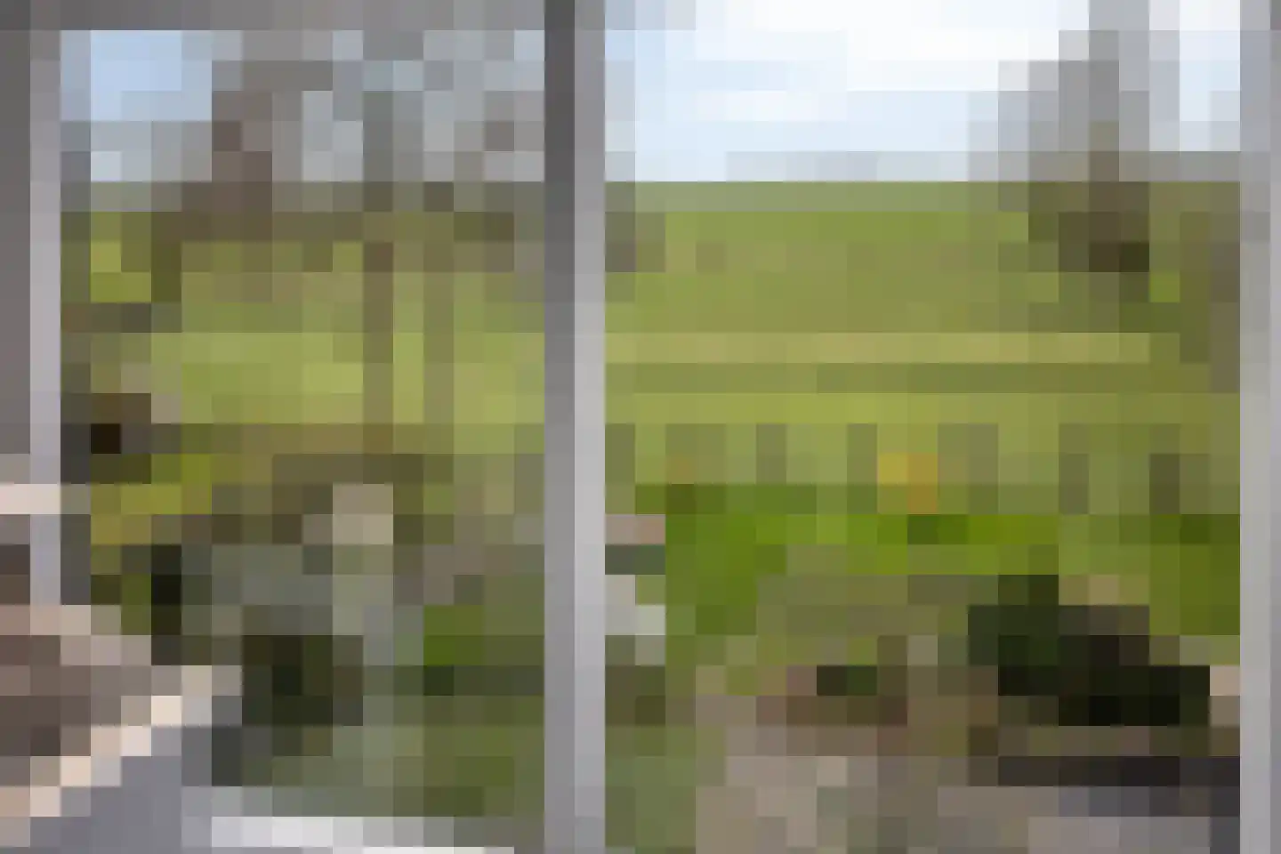 Hernepaed 5 Oosthem thumbnail 5