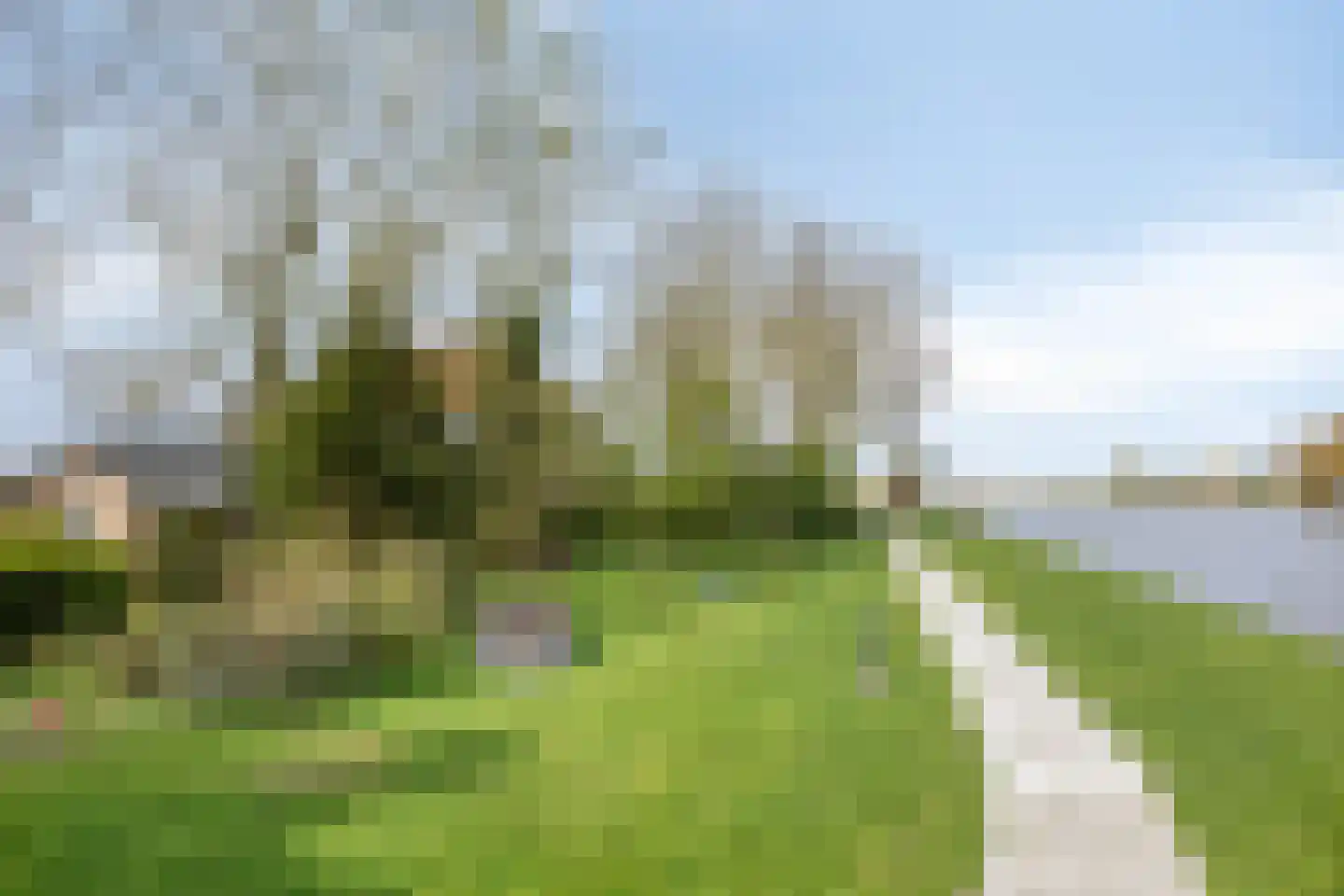 Hernepaed 5 Oosthem thumbnail 51