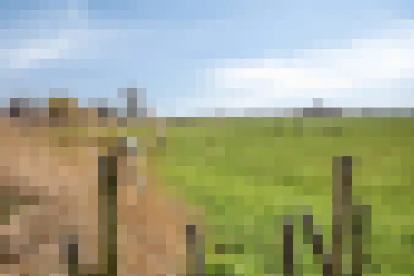 Hernepaed 5 Oosthem thumbnail 56