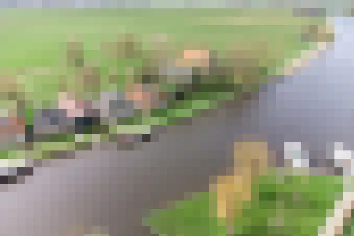 Hernepaed 5 Oosthem thumbnail 7