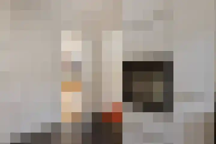 Herodotuslaan 31 Assen thumbnail 11
