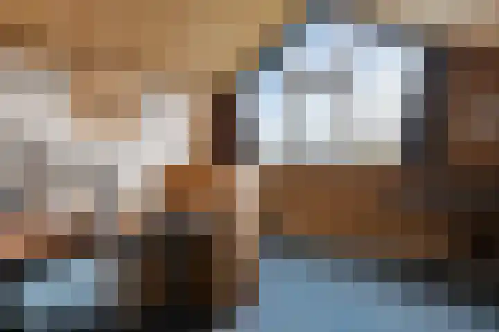 Herodotuslaan 31 Assen thumbnail 25
