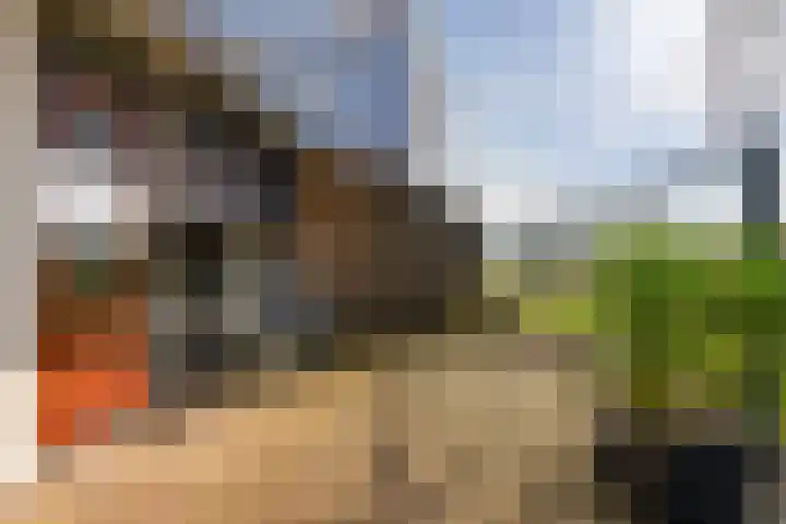 Herodotuslaan 31 Assen thumbnail 34
