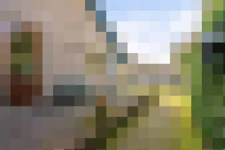 Herodotuslaan 31 Assen thumbnail 38
