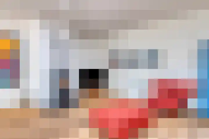 Herodotuslaan 4 Assen thumbnail 12