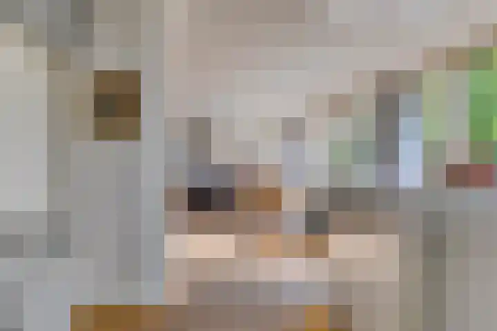 Herodotuslaan 4 Assen thumbnail 20