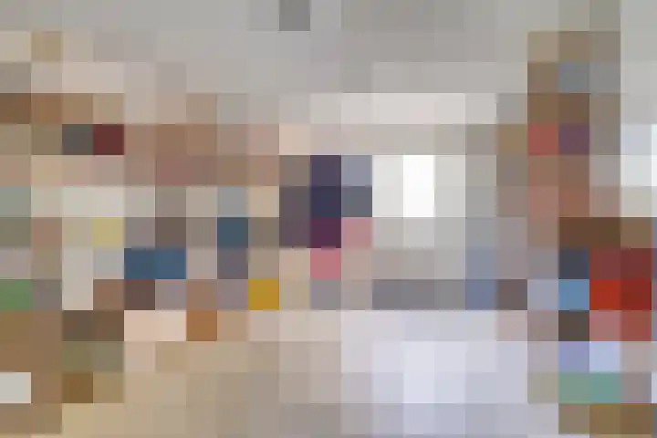 Herodotuslaan 4 Assen thumbnail 31