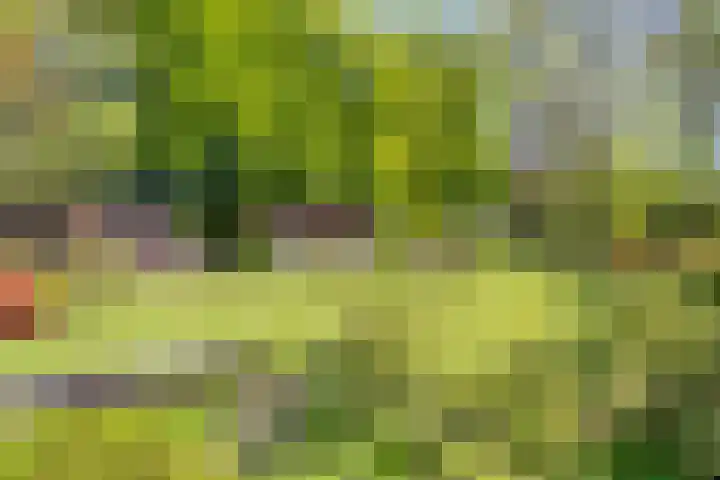 Herodotuslaan 4 Assen thumbnail 32
