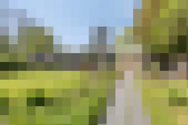 Herodotuslaan 4 Assen thumbnail 35