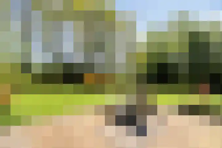 Herodotuslaan 4 Assen thumbnail 36