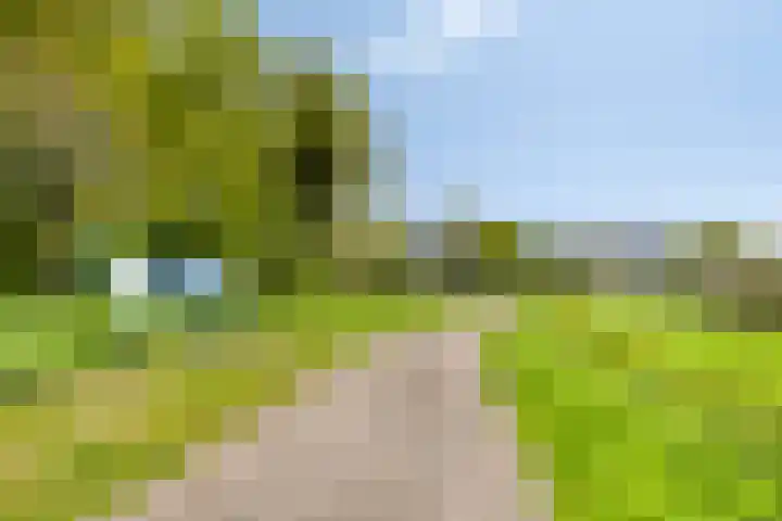 Herodotuslaan 4 Assen thumbnail 39