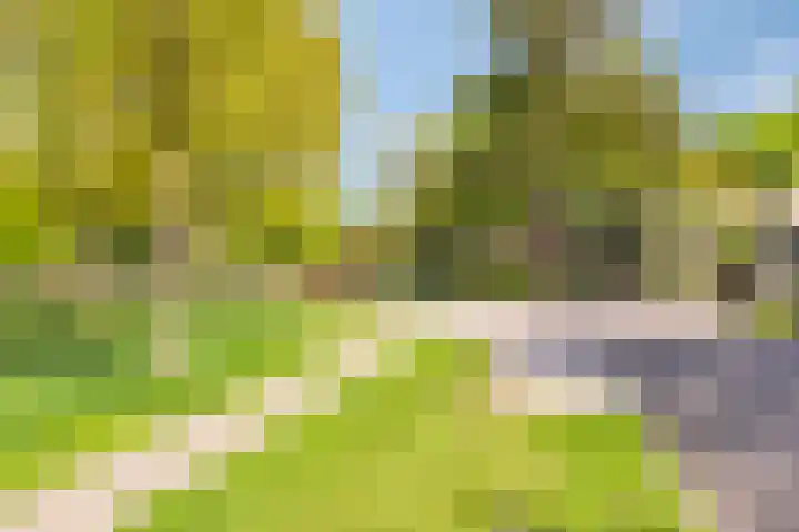 Herodotuslaan 4 Assen thumbnail 6