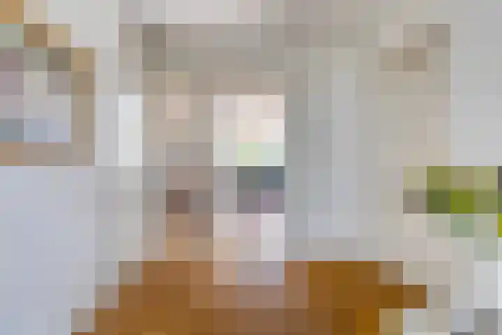 Herodotuslaan 4 Assen thumbnail 7