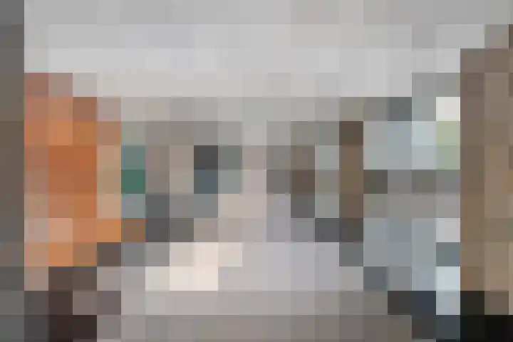 Herodotusplein 147 Eindhoven thumbnail 28
