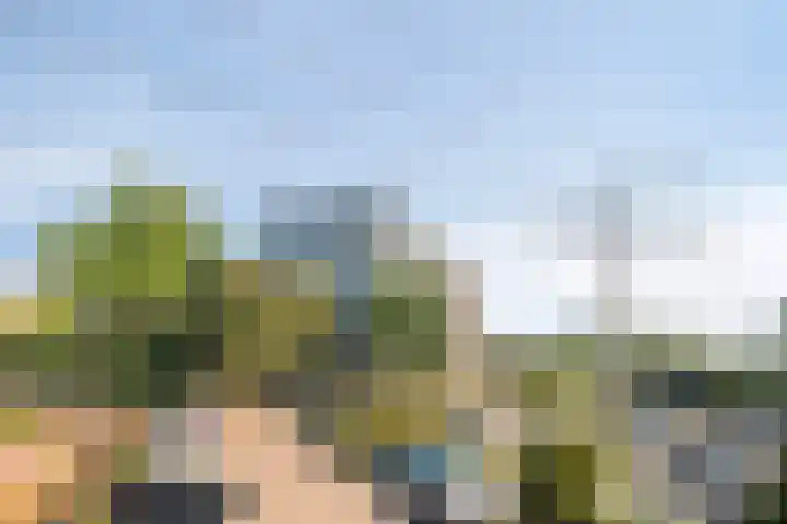 Herodotusplein 147 Eindhoven thumbnail 33