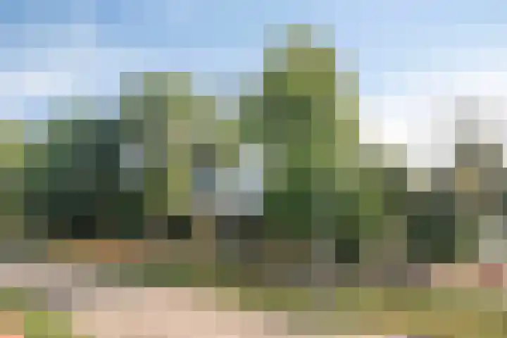 Herodotusplein 147 Eindhoven thumbnail 35