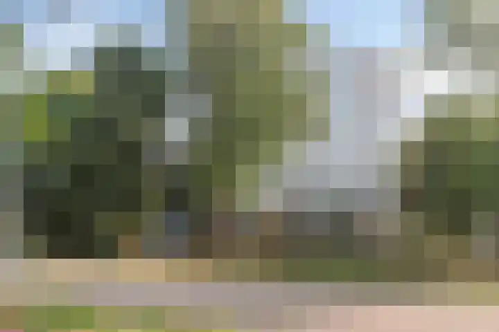 Herodotusplein 147 Eindhoven thumbnail 36