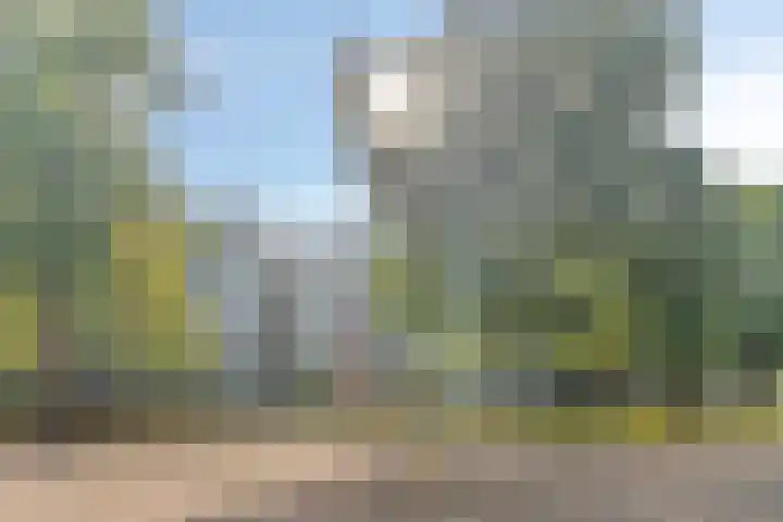 Herodotusplein 147 Eindhoven thumbnail 37