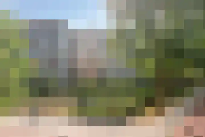 Herodotusplein 147 Eindhoven thumbnail 38