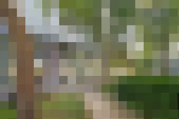 Herodotusplein 147 Eindhoven thumbnail 39
