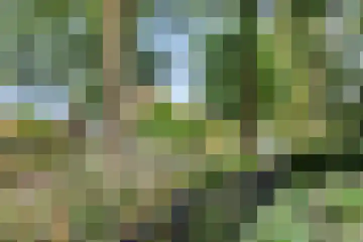 Herodotusplein 147 Eindhoven thumbnail 40