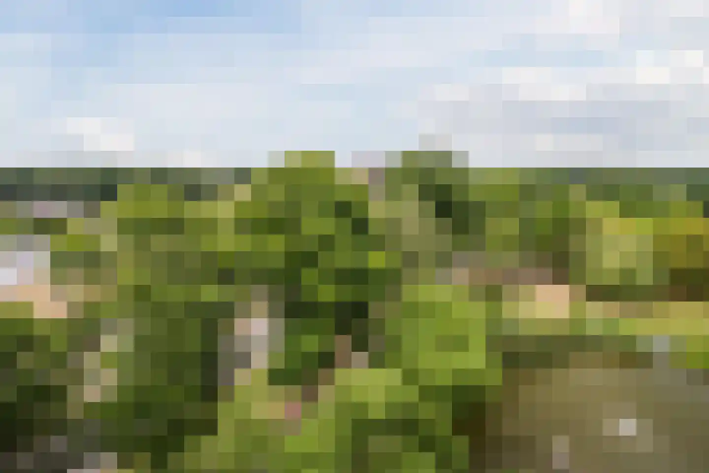 Herodotusplein 222 Eindhoven thumbnail 32