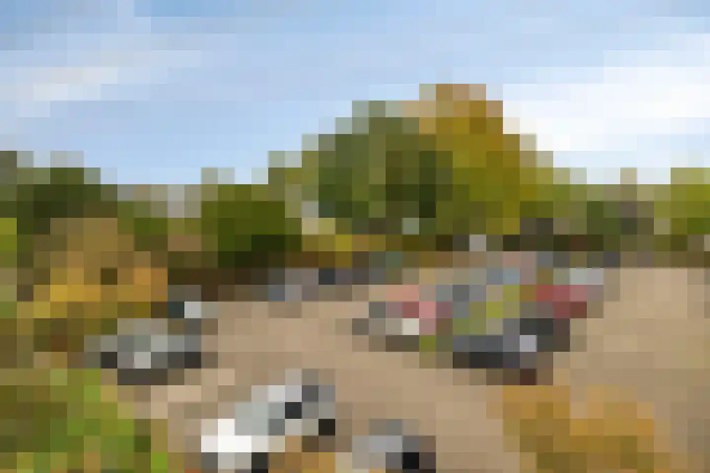 Herodotusplein 245 Eindhoven thumbnail 41
