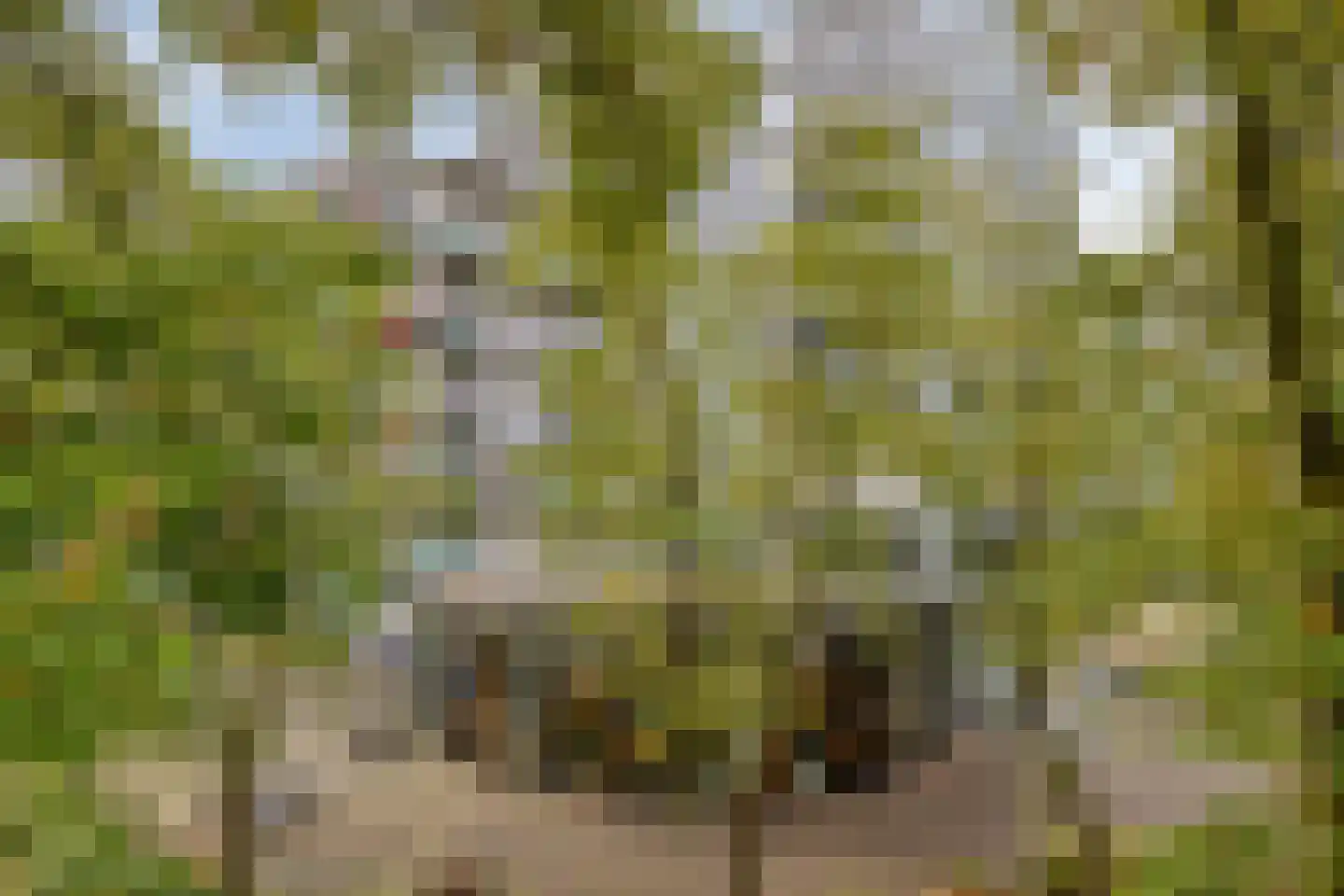 Herodotusplein 245 Eindhoven thumbnail 42