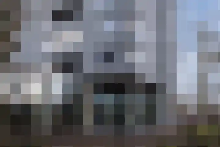 Herodotusplein 47 Eindhoven thumbnail 8