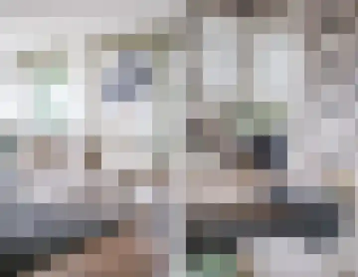 Herodotusplein 98 Eindhoven thumbnail 19