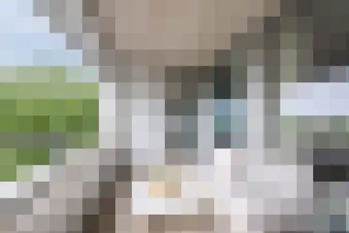 Herodotusplein 98 Eindhoven thumbnail 37