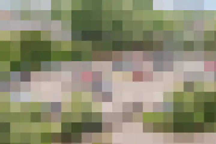Herodotusplein 98 Eindhoven thumbnail 38
