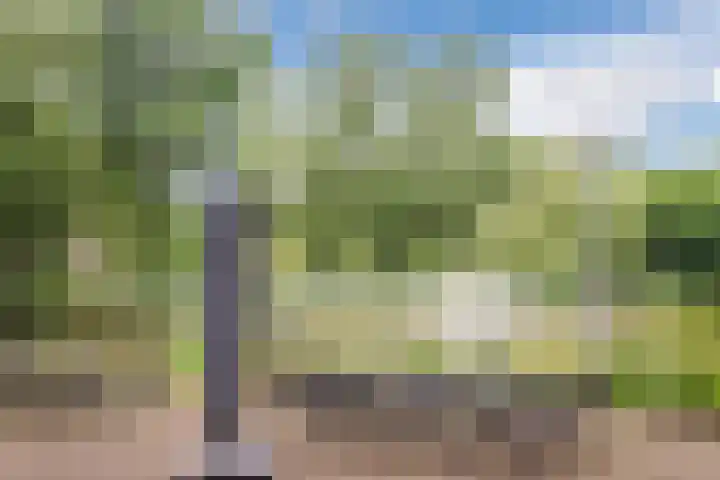 Herodotusplein 98 Eindhoven thumbnail 5