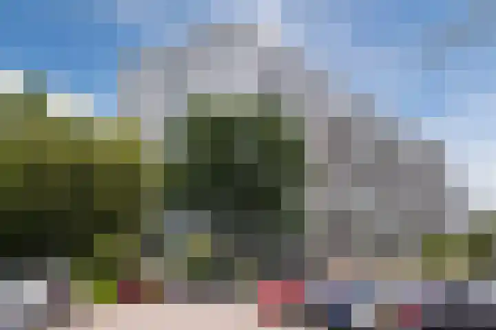 Herodotusplein 98 Eindhoven thumbnail 6