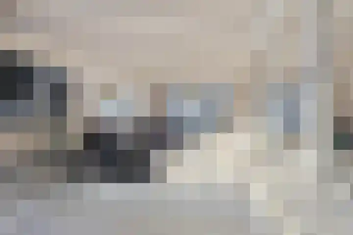 Herpenstraat 61 Uden thumbnail 4