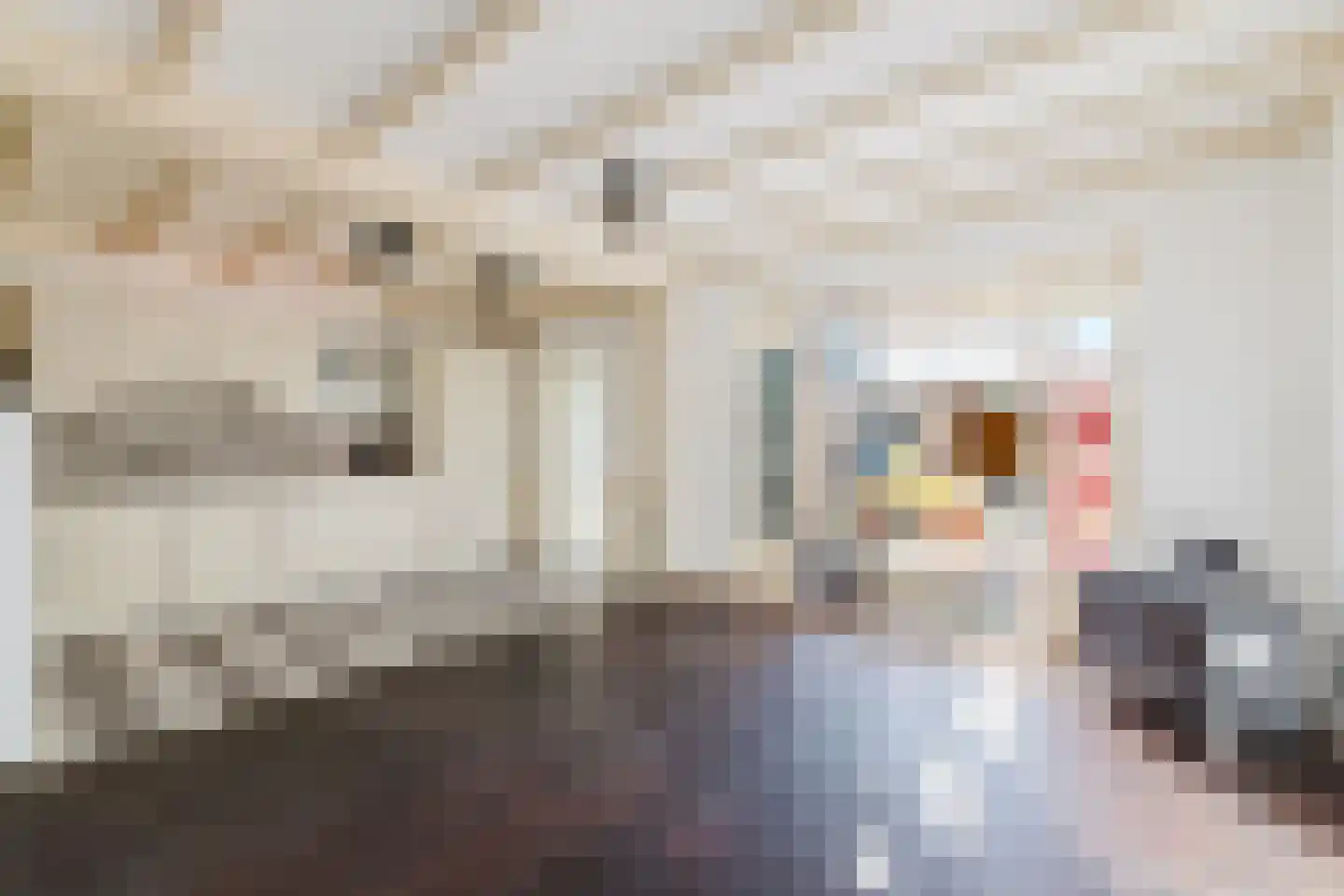 Herpenstraat 77 Uden thumbnail 16