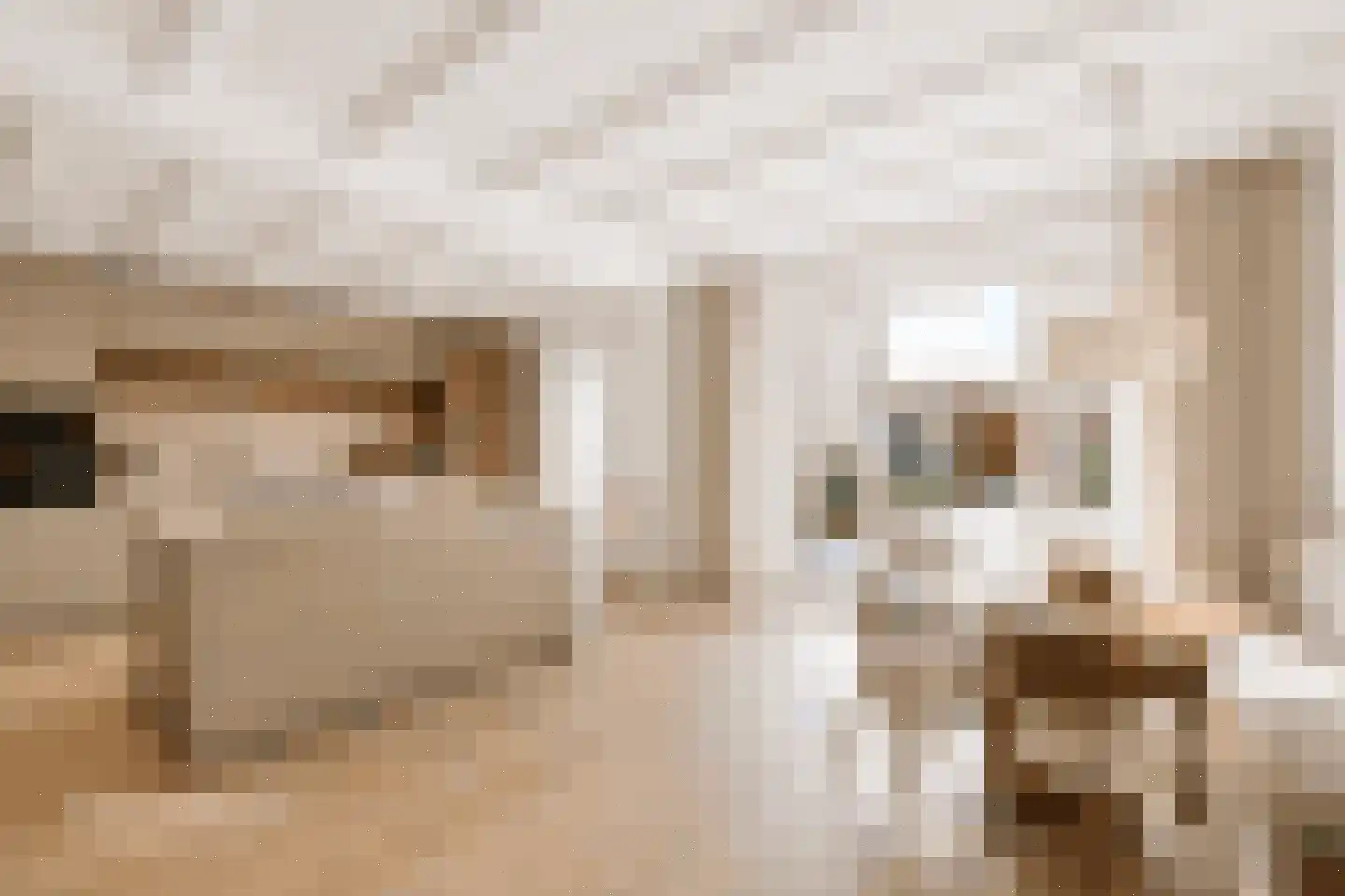 Herpenstraat 77 Uden thumbnail 17