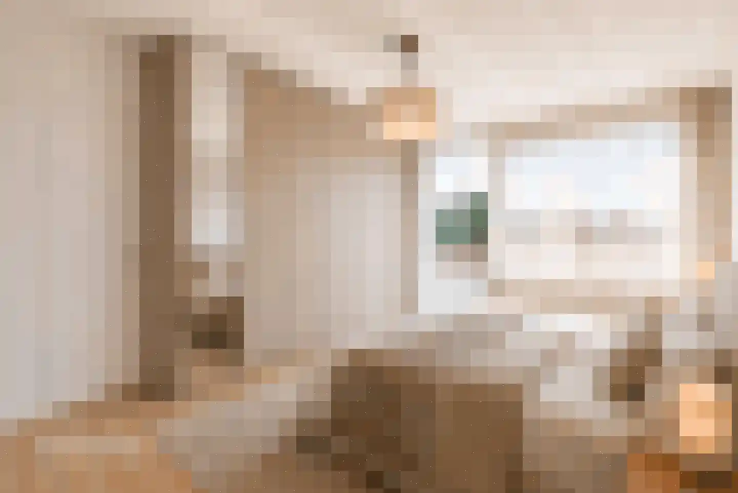 Herpenstraat 77 Uden thumbnail 29