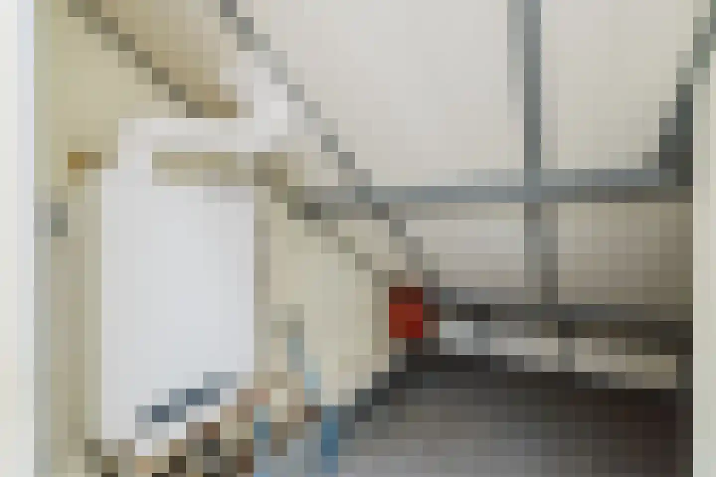 Herpenstraat 77 Uden thumbnail 39