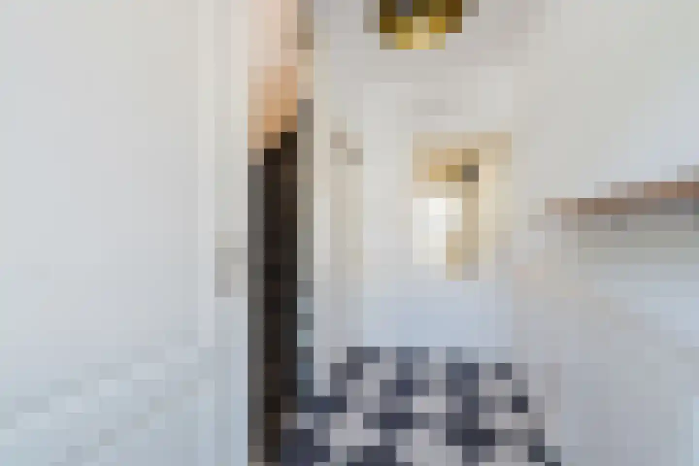 Herpenstraat 77 Uden thumbnail 8