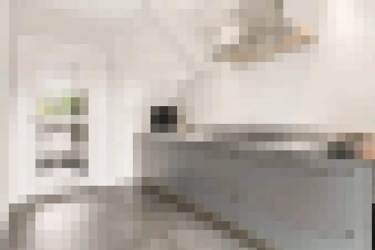 Herpenstraat 85 Uden thumbnail 10