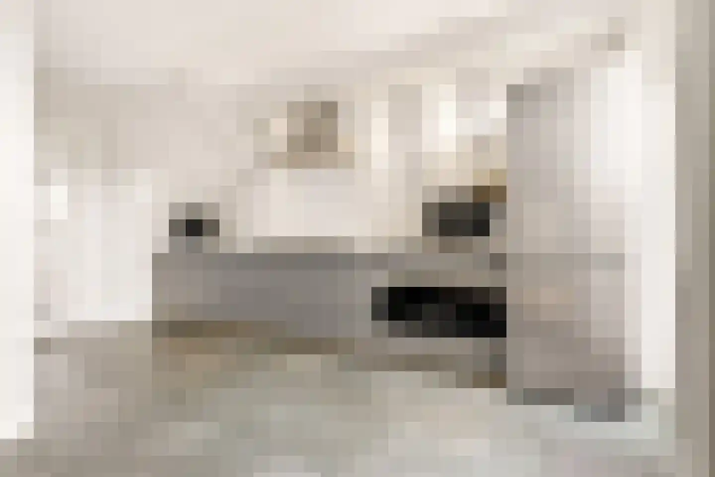 Herpenstraat 85 Uden thumbnail 12