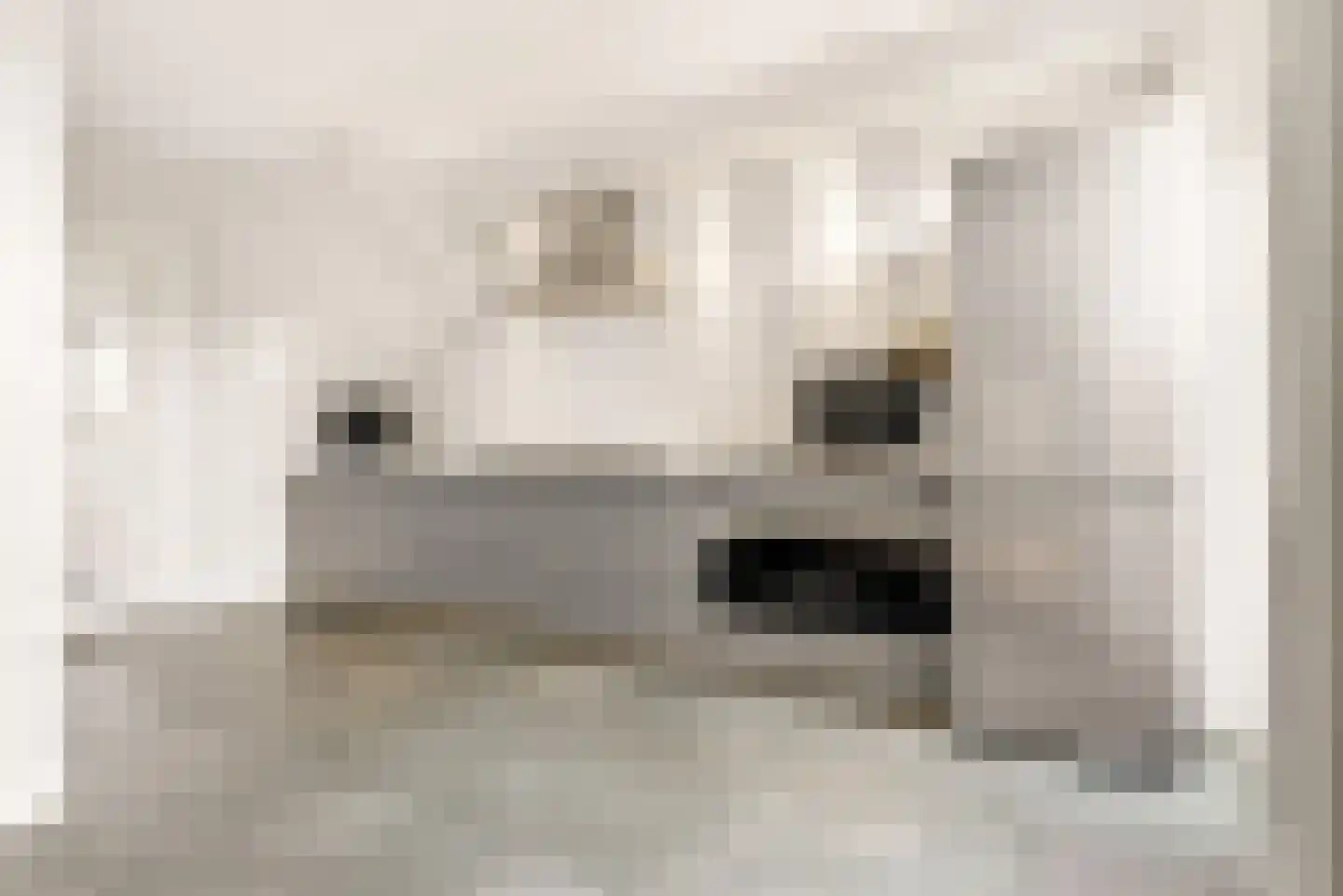 Herpenstraat 85 Uden thumbnail 12