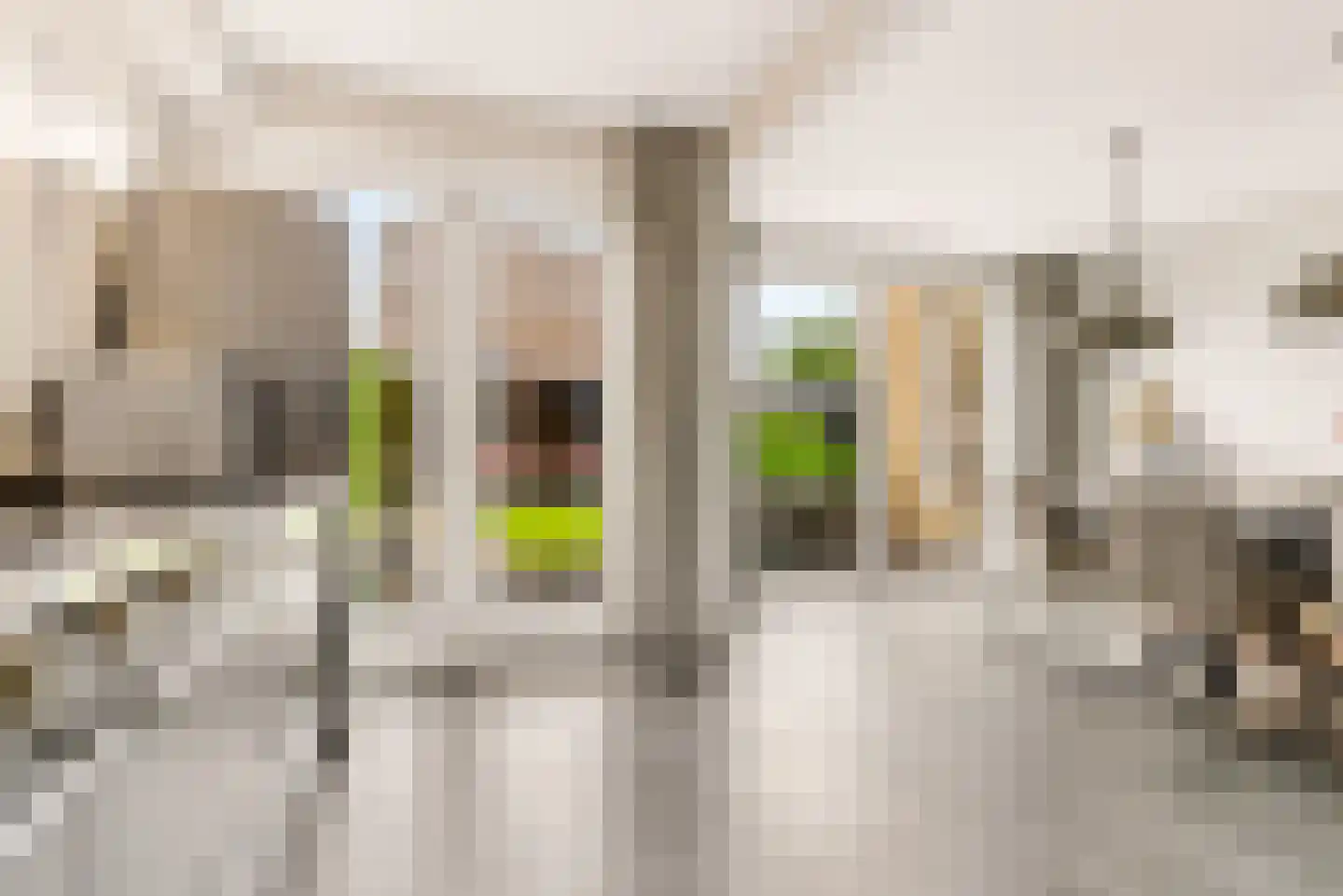 Herpenstraat 85 Uden thumbnail 13