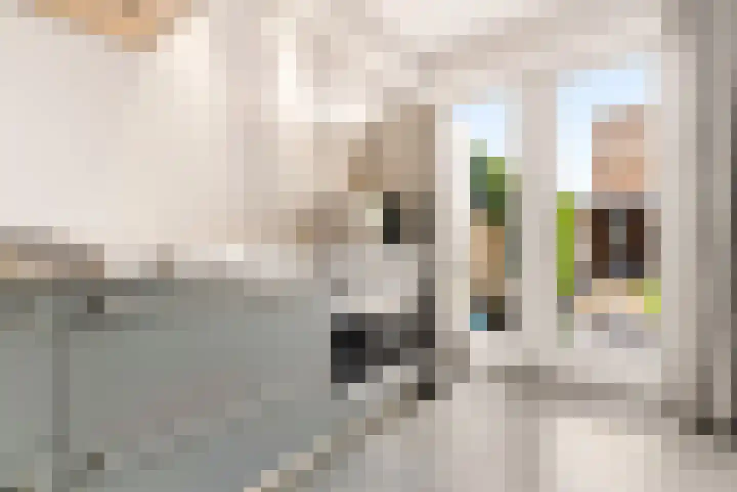 Herpenstraat 85 Uden thumbnail 14